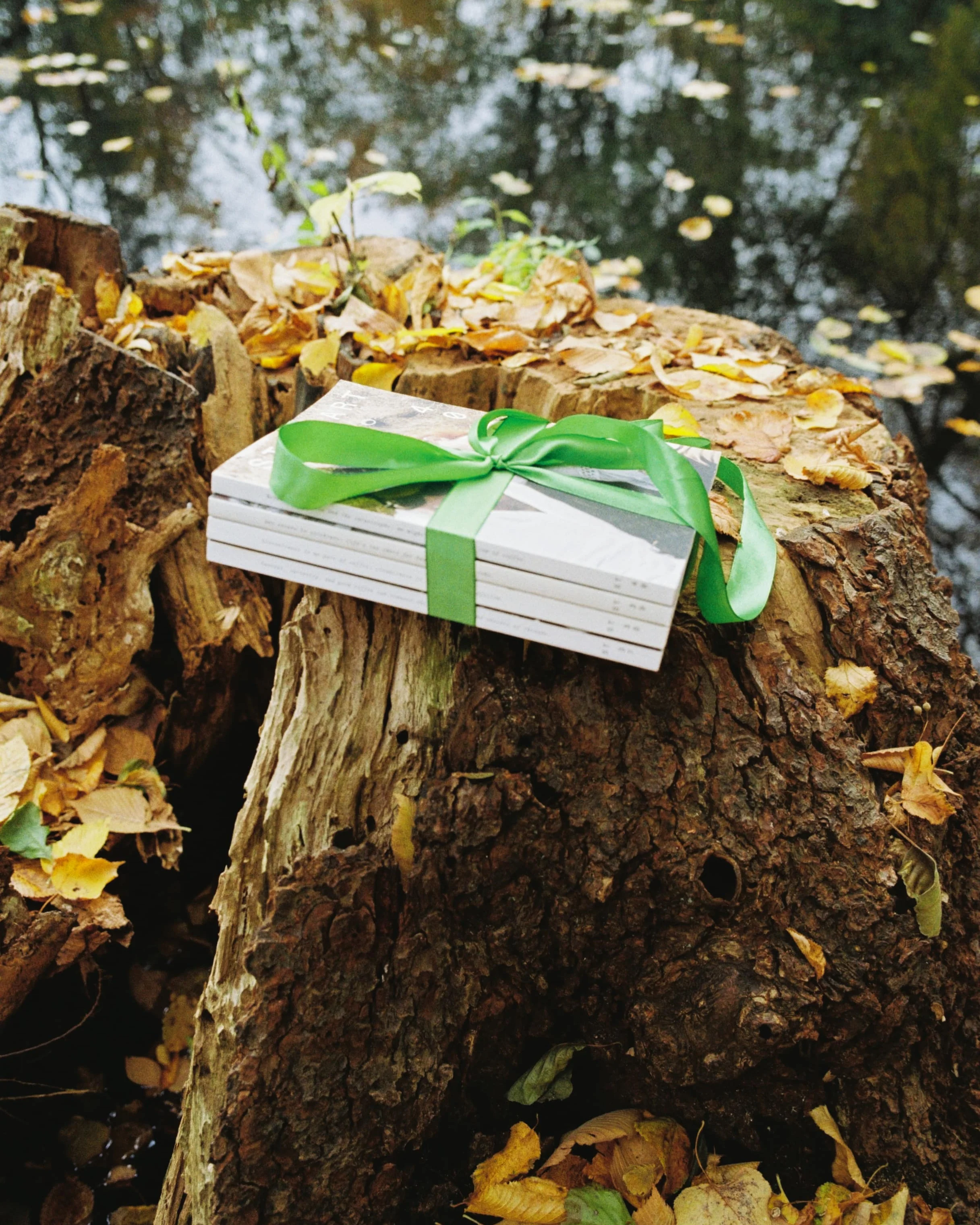 Standart Gift Card