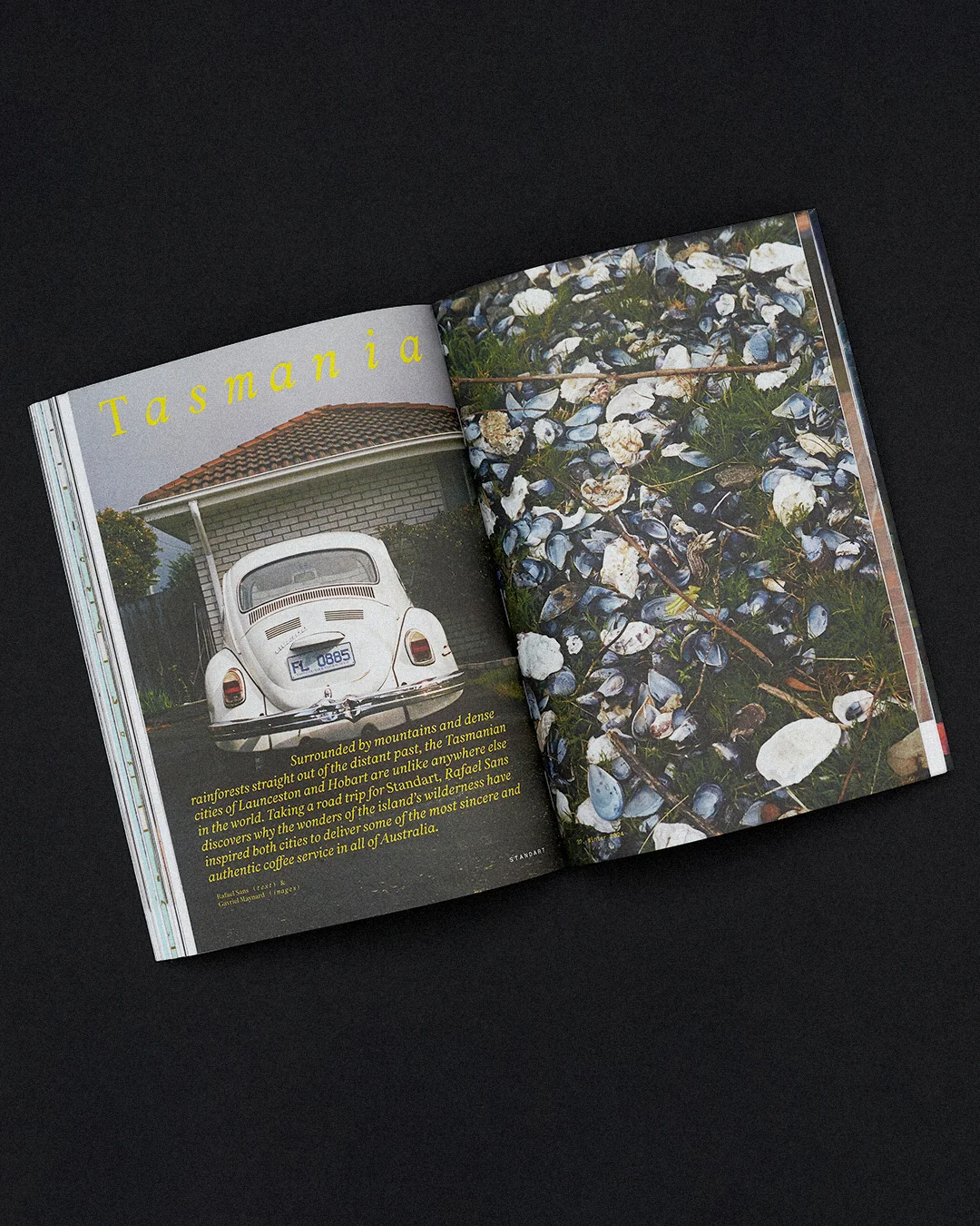 Issue 37: Dreams, Gossamer & Coffee - Image 6