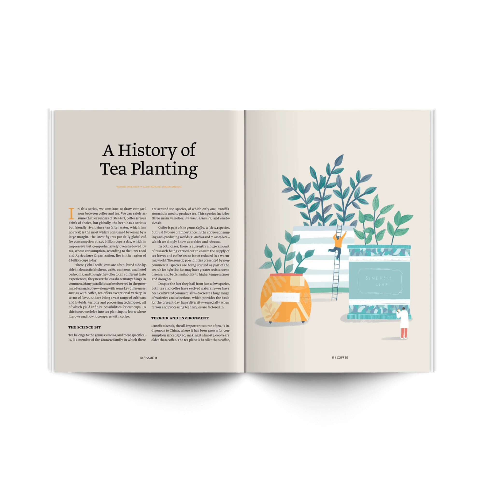 Issue 14: Late nights, palates, and coffee - Image 2